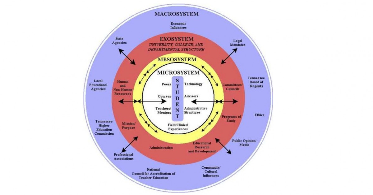 Microsistema BRONFENBRENNER - Entiende el ENFOQUE ECOLÓGICO 2 microsistema bronfenbrenner entiende el enfoque ecologico