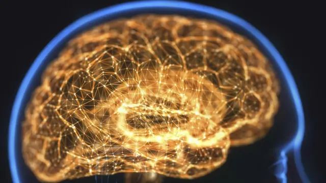 Miedo a la Oscuridad: Descubre Su Fascinante Neurociencia 2 miedo a la oscuridad descubre su fascinante neurociencia