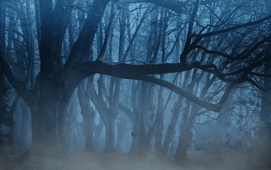 MIEDO A LA OSCURIDAD - Escotofobia: Qué es y Cómo Vencerla 2 miedo a la oscuridad escotofobia que es y como vencerla