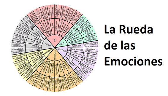 Miedo y TRISTEZA: Entiende tus EMOCIONES más COMUNES 2 miedo y tristeza entiende tus emociones mas comunes