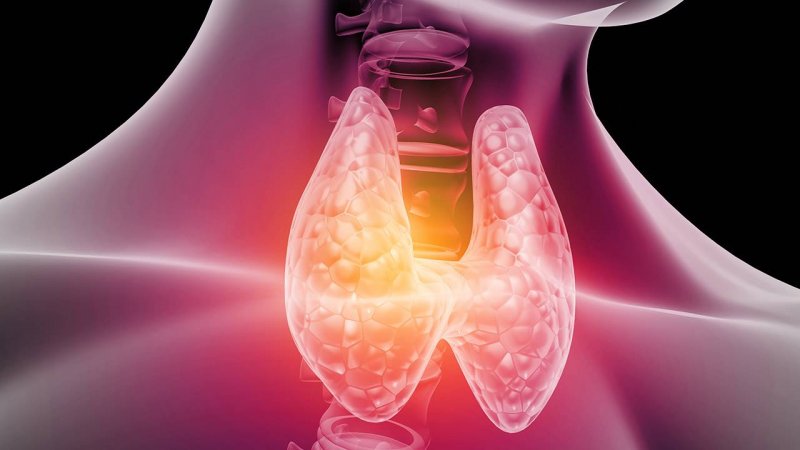 Mixeema: Síntomas y Tratamientos para Mejorar tu Salud 2 mixeema sintomas y tratamientos para mejorar tu salud
