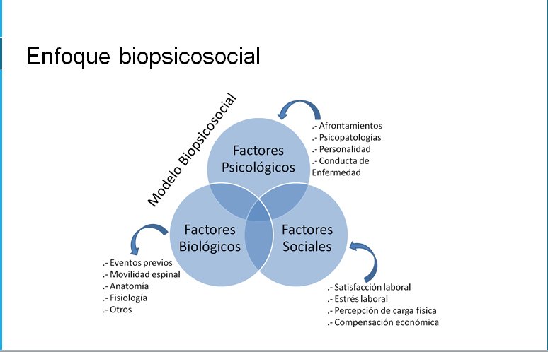 Modelo Biopsicosocial: Cómo Transforma la Salud Mental 2 modelo biopsicosocial como transforma la salud mental