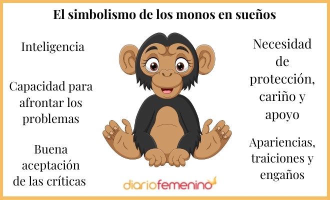 Mono Volador en PSICOLOGÍA - Descubre su MAGIA y Significado 2 mono volador en psicologia descubre su magia y significado