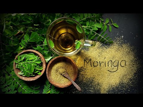 Moringa para Mujeres: Descubre Sus Asombrosos Beneficios 2 moringa para mujeres descubre sus asombrosos beneficios
