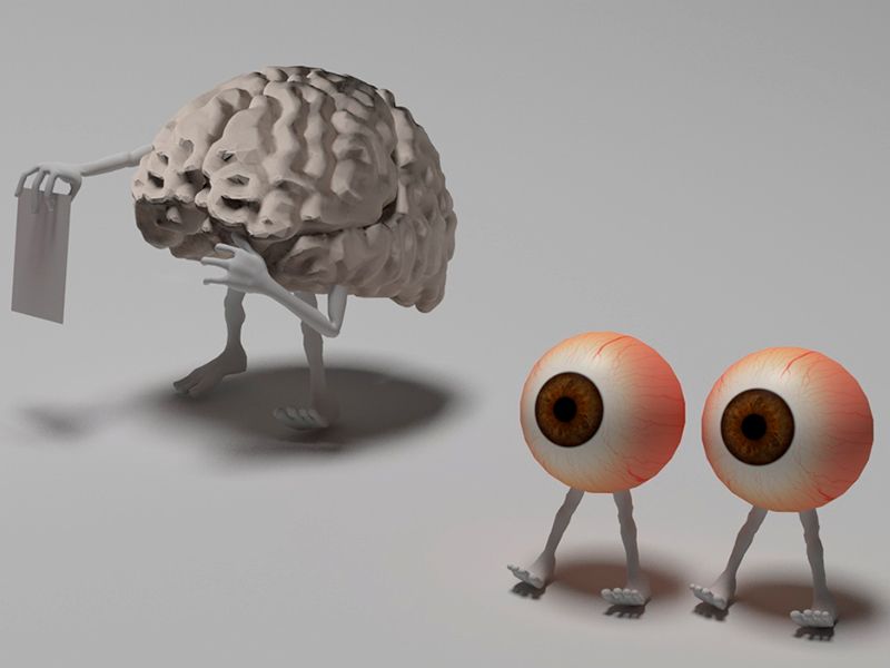 muller lyer como influye en tu percepcion descubrelo