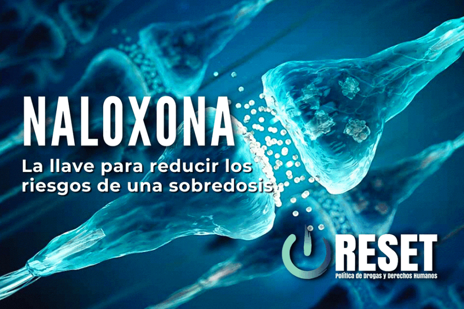 Naloxona: Usos y Efectos Secundarios que Debes Conocer 2 naloxona usos y efectos secundarios que debes conocer