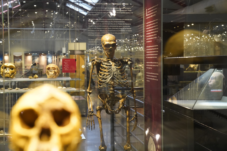 neandertales asombrosas caracteristicas que te sorprenderan