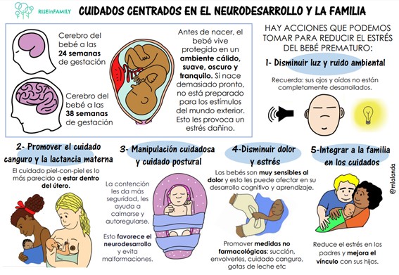 NEONATO: CARACTERÍSTICAS y RITMOS que Debes Conocer 17 neonato caracteristicas y ritmos que debes conocer