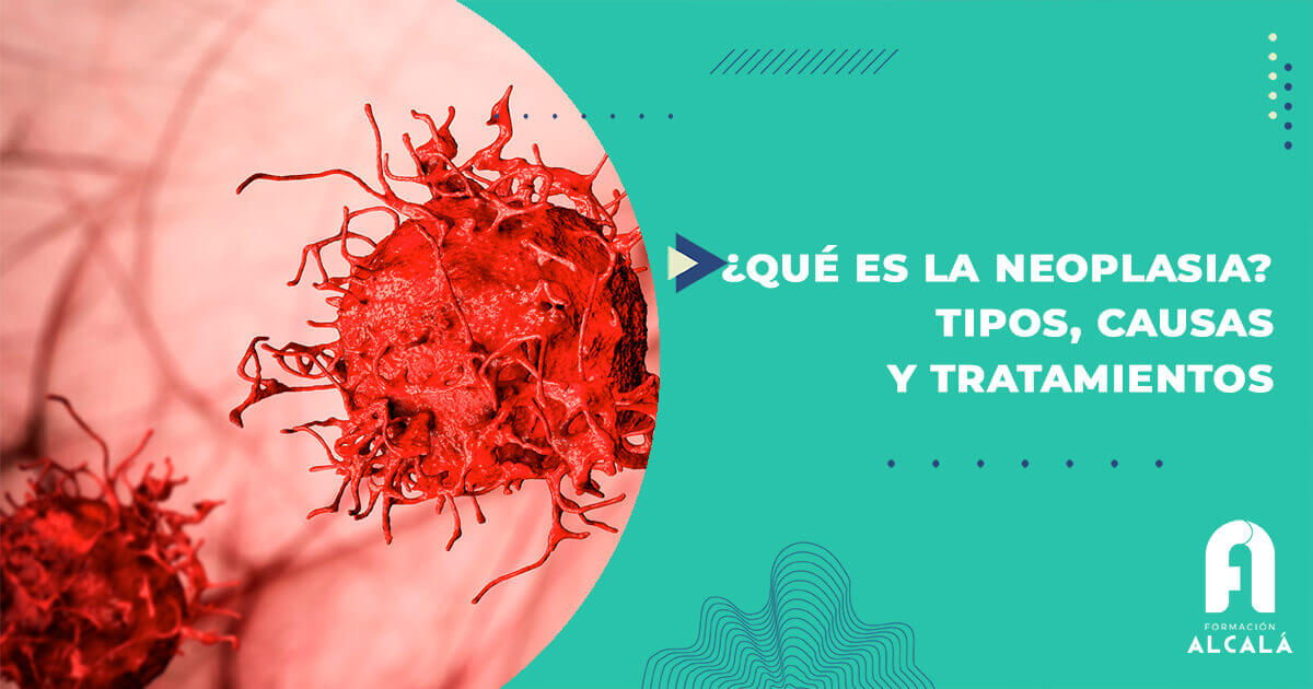 NEOPLASIA: TIPOS, SÍNTOMAS y TRATAMIENTO que DEBES CONOCER 2 neoplasia tipos sintomas y tratamiento que debes conocer