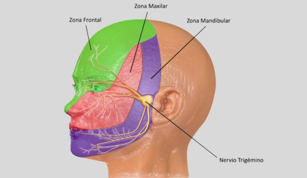 neuralgia del trigemino claves y tratamientos efectivos