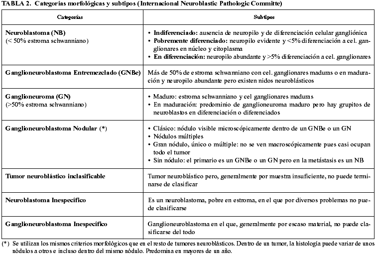 NEUROBLASTOMA: SÍNTOMAS, ESTADIOS y TRATAMIENTOS CLAVE 2 neuroblastoma sintomas estadios y tratamientos clave