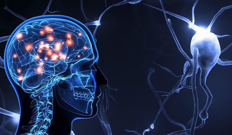 NEUROCIENCIA y PSICOLOGÍA: CLAVES para ENTENDER tu MENTE 10 NEUROCIENCIA y PSICOLOGÍA: CLAVES para ENTENDER tu MENTE