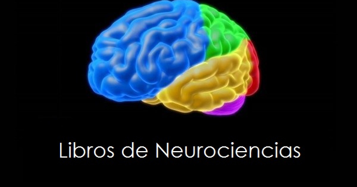 NEUROCIENCIAS: 13 LIBROS IMPRESCINDIBLES para INICIARTE 2 neurociencias 13 libros imprescindibles para iniciarte
