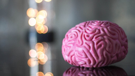 NEUROCIENCIAS COGNITIVAS: HISTORIA y MÉTODOS en MADRID 2 neurociencias cognitivas historia y metodos en madrid