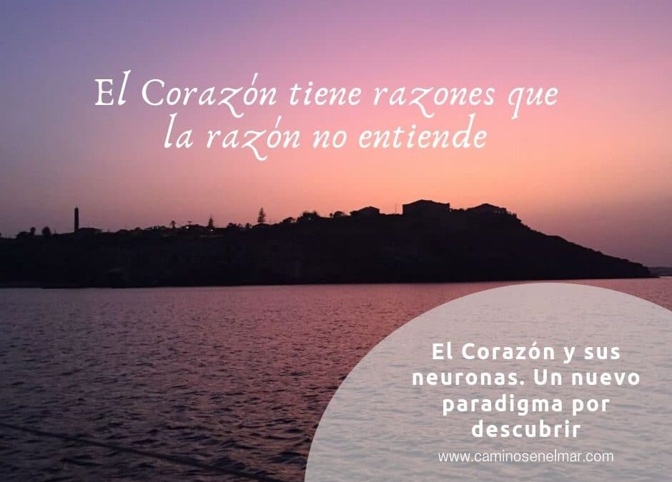 neuronas en el corazon descubre su importancia esencial