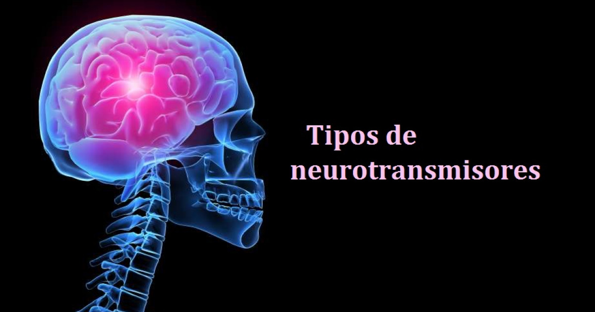 neuroreceptores tipos y su impacto en tu cerebro
