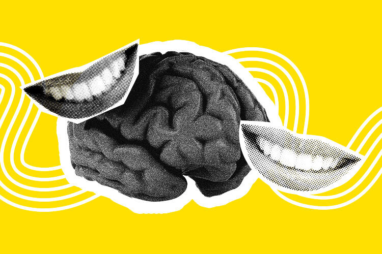 Neurotransmisores de la Felicidad: Claves para Ser Feliz 2 neurotransmisores de la felicidad claves para ser feliz