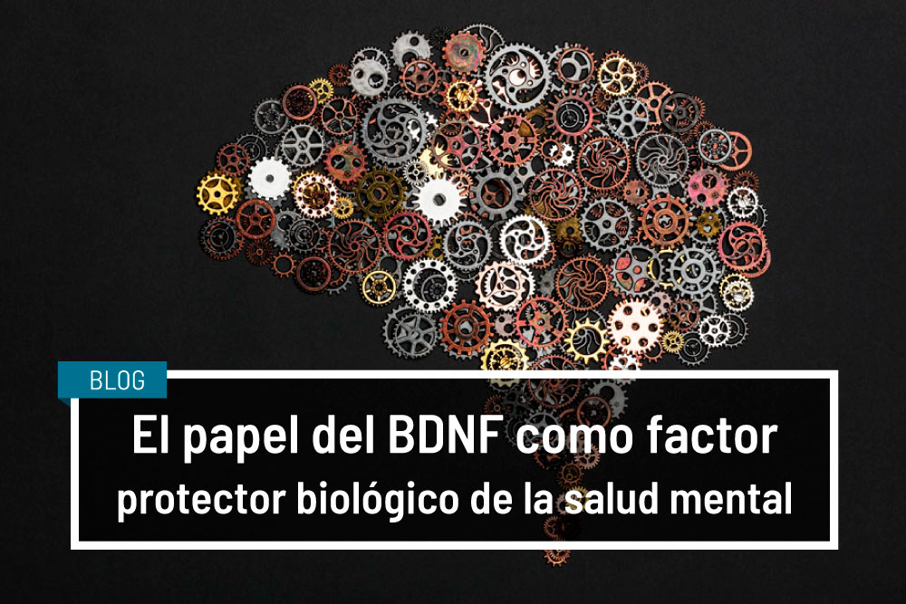 neurotrofinas descubre sus funciones y tipos esenciales