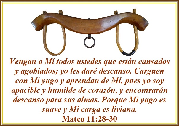 No des más de lo que RECIBES - CANSADA de dar sin RETORNO 2 no des mas de lo que recibes cansada de dar sin retorno
