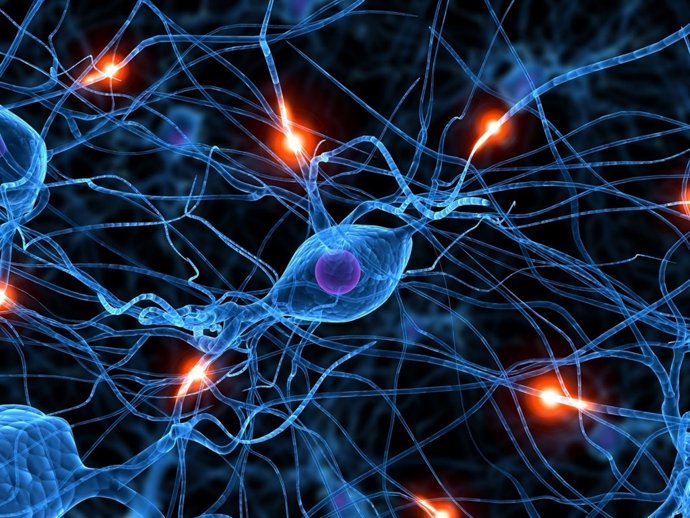 nodulos de ranvier clave en neuronas y terapias en madrid