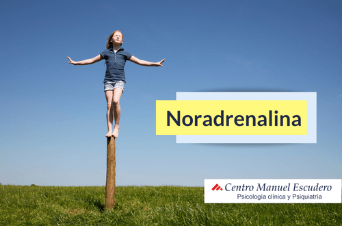 Noradrenalina: QUÉ ES Funciones y BENEFICIOS Clave 2 noradrenalina que es funciones y beneficios clave