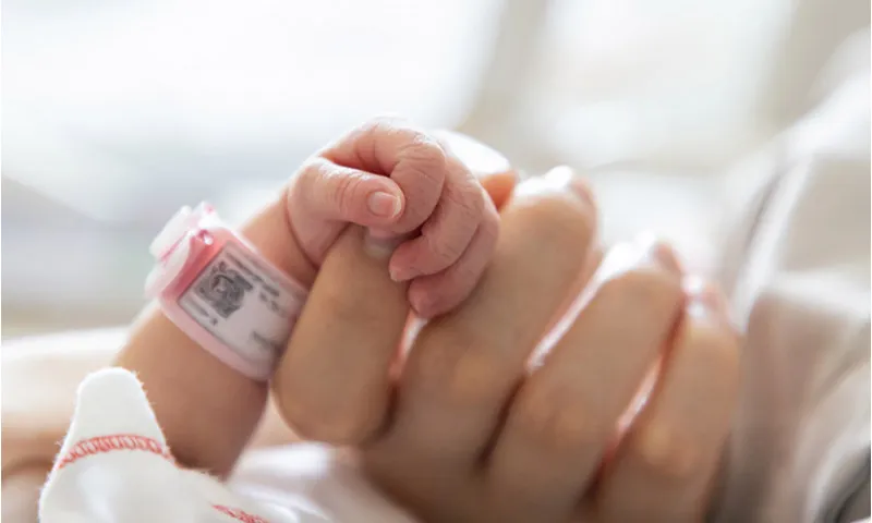 OCTAVO MES en BEBÉS: Causas y SOLUCIONES Esenciales 2 octavo mes en bebes causas y soluciones esenciales