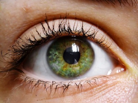 Ojos Verdes: Datos Sorprendentes que Te Sorprenderán 2 ojos verdes datos sorprendentes que te sorprenderan