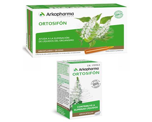 ORTOSIFÓN: BENEFICIOS y PROPIEDADES que NO CONOCES 2 ortosifon beneficios y propiedades que no conoces