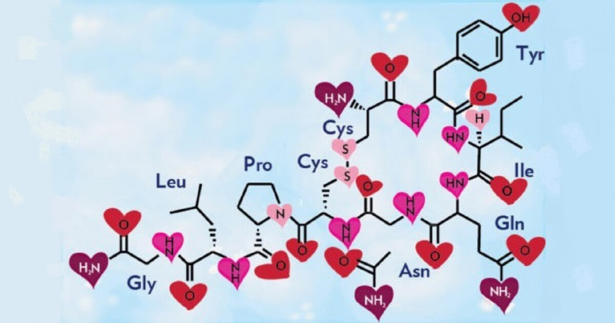 oxitocina la hormona del amor y la felicidad descubre