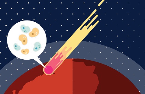 Panspermia: La Teoría que Transformará la Ciencia Moderna 2 panspermia la teoria que transformara la ciencia moderna