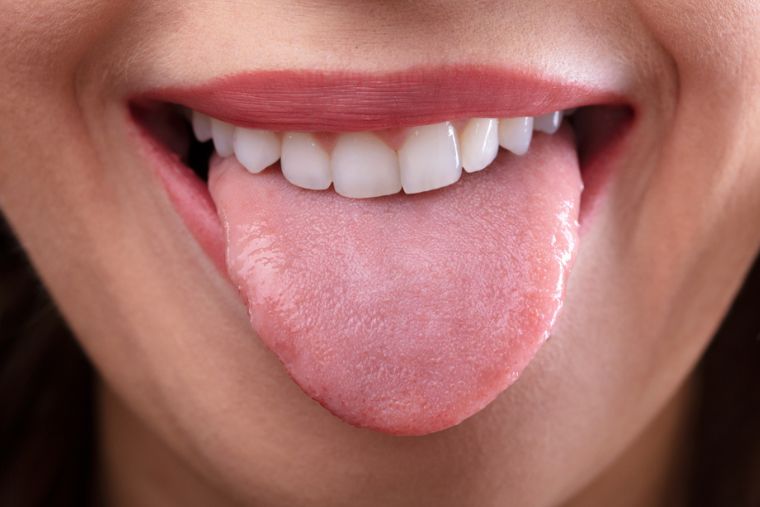 papilas gustativas tipos y funcion esencial para tu salud
