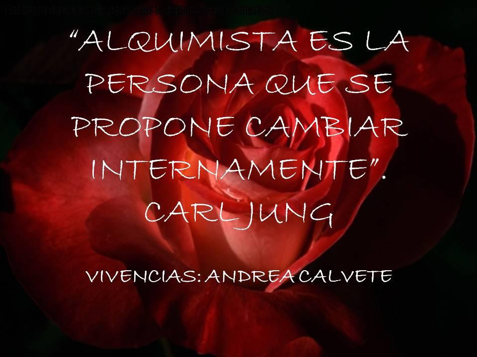 paracelso alquimista suizo y su inspiradora biografia