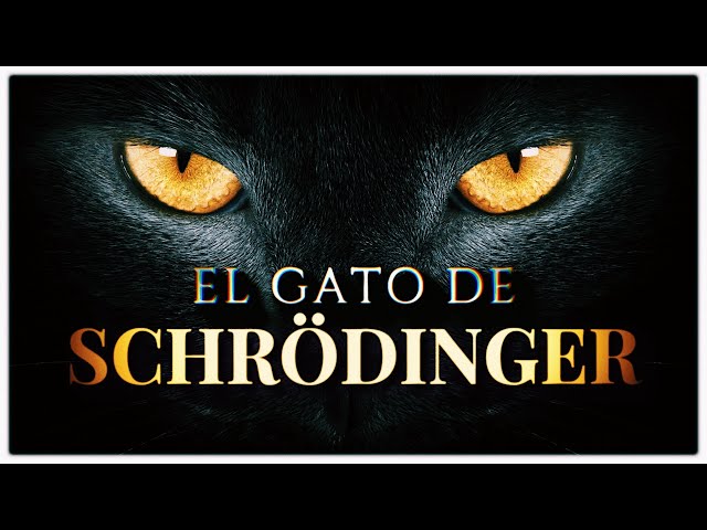Paradoja de Schrödinger: Qué misterio esconde el gato cuántico 2 paradoja de schrodinger que misterio esconde el gato cuantico