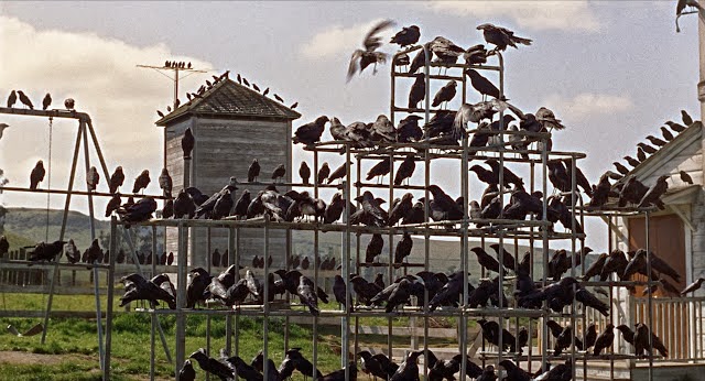 PELÍCULA El Bar: Descubre el ABSURDO de la NATURALEZA HUMANA 2 pelicula el bar descubre el absurdo de la naturaleza humana