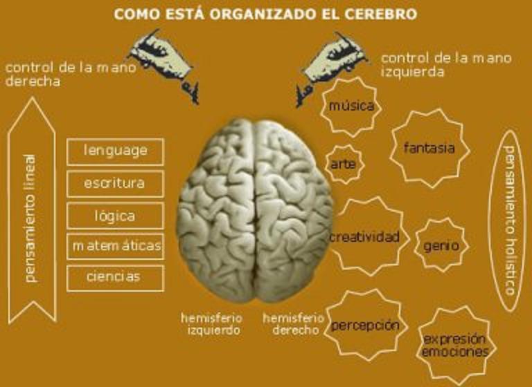 Pensamiento HOLÍSTICO: Qué es y sus CARACTERÍSTICAS CLAVE 2 pensamiento holistico que es y sus caracteristicas clave