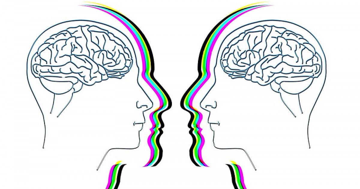 PENSAMIENTO y EMOCIÓN: La CLAVE para ENTENDER tu MENTE 2 pensamiento y emocion la clave para entender tu mente