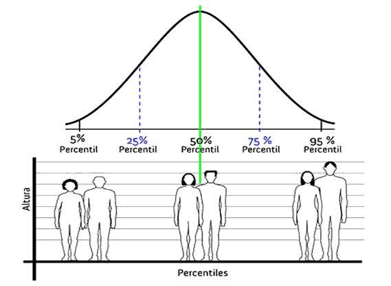 Percentiles: QUÉ SON y CÓMO se CALCULAN - Ejemplos PRÁCTICOS 41 percentiles que son y como se calculan ejemplos practicos