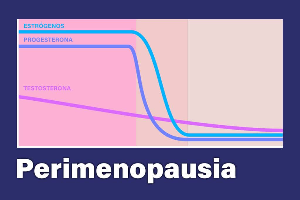 Perimenopausia: Síntomas y Estrategias para Manejarla 2 perimenopausia sintomas y estrategias para manejarla