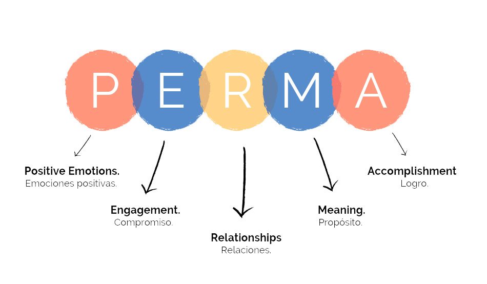 perma descubre el modelo para tu bienestar psicologico
