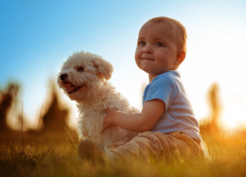 PERROS y BEBÉS: ¡Descubre las VENTAJAS de Crecer Juntos! 2 perros y bebes descubre las ventajas de crecer juntos