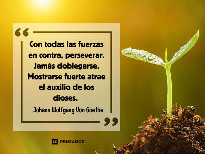 Persistencia en el ÉXITO: Importancia de SER PERSEVERANTE 2 persistencia en el exito importancia de ser perseverante