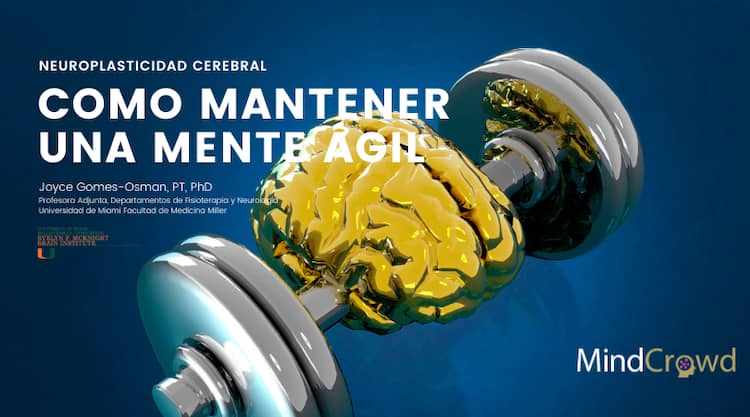 Plasticidad Neuronal: Descubre Su Importancia y Tipos Clave 2 plasticidad neuronal descubre su importancia y tipos clave