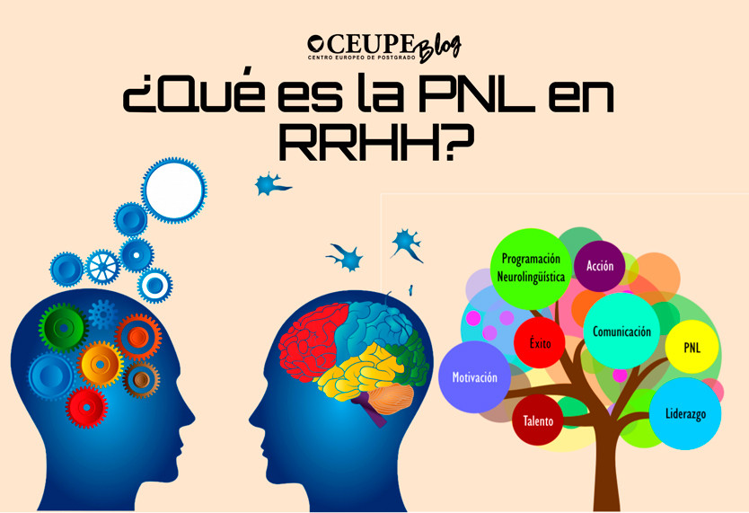 PNL: QUÉ ES y cómo TRANSFORMAR tu VIDA con la PSICOLOGÍA 2 pnl que es y como transformar tu vida con la psicologia