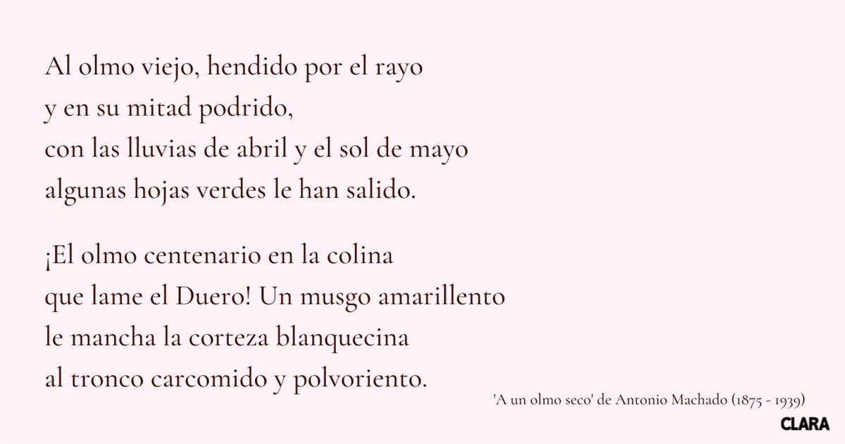 Poemas de GARcilaso de la VEGA: 12 INSPIRACIONES IMPERDIBLES 2 poemas de garcilaso de la vega 12 inspiraciones imperdibles