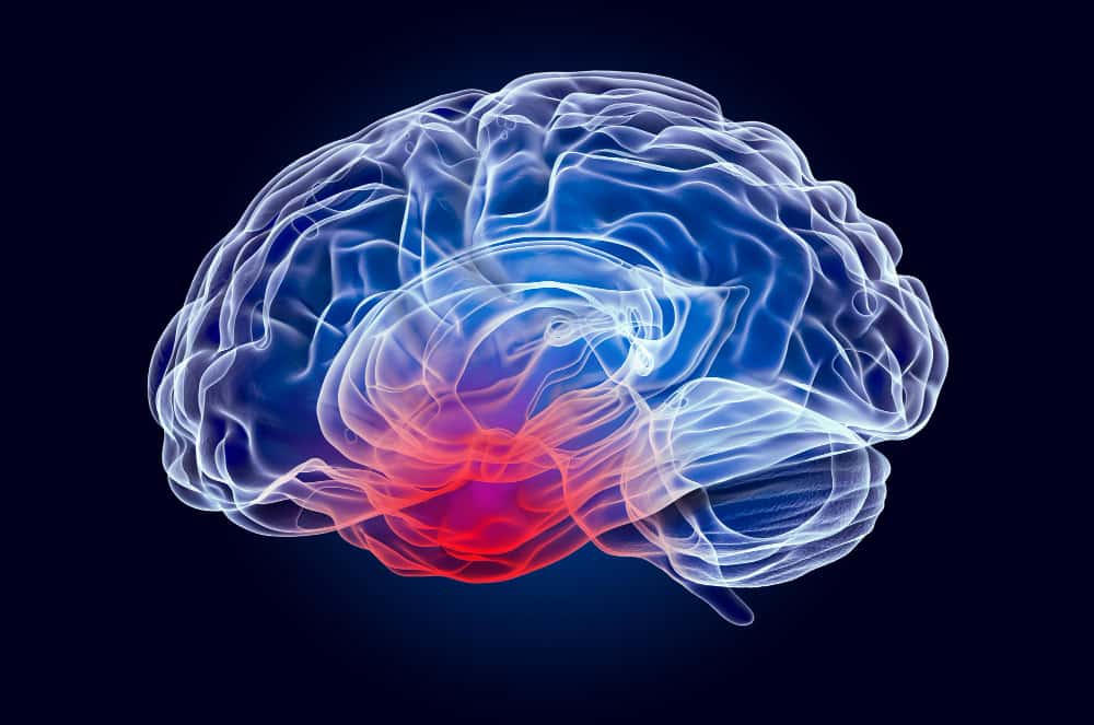 Por qué el CEREBRO no Siente DOLOR Descubre la VERDAD aquí 2 por que el cerebro no siente dolor descubre la verdad aqui