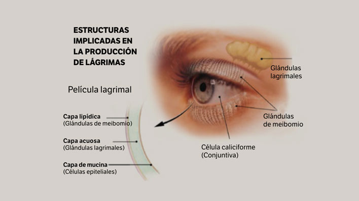Por qué Lloramos Descubre el Significado de tus Emociones 2 por que lloramos descubre el significado de tus emociones