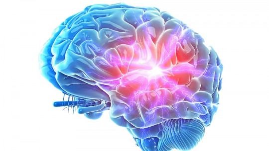 procesamiento cerebral funciones y terapias en madrid