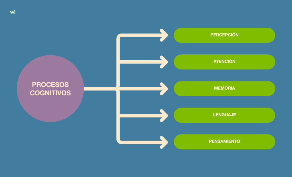 procesos cognitivos ejemplos y tipos que sorprenden