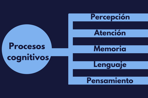 Procesos COGNITIVOS: Qué son y CUÁLES son los BÁSICOS 2 procesos cognitivos que son y cuales son los basicos