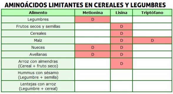 PROTEÍNAS de ALTO VALOR BIOLÓGICO: CARACTERÍSTICAS y FUENTES 34 proteinas de alto valor biologico caracteristicas y fuentes